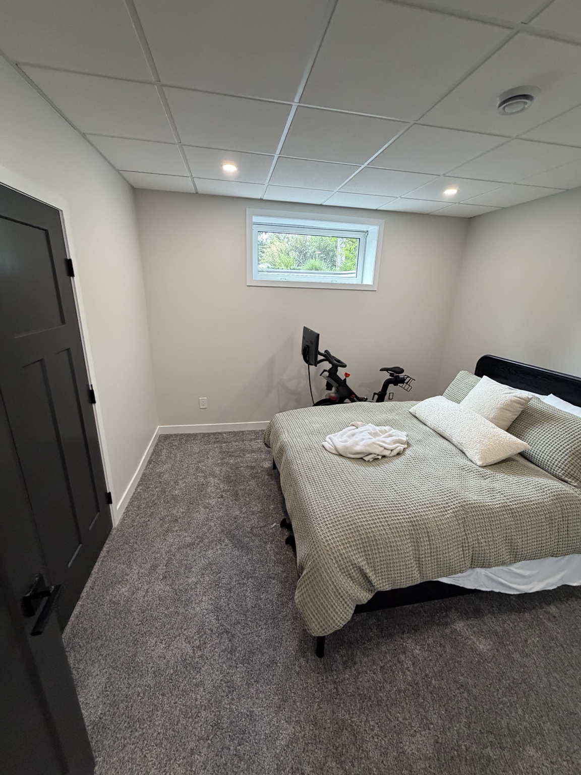 Basement bedroom with carpet, painted walls and a finished ceiling